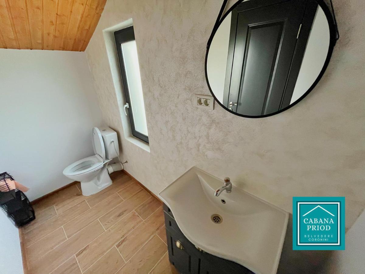 Cabana Priod Coronini Pescari 외부 사진
