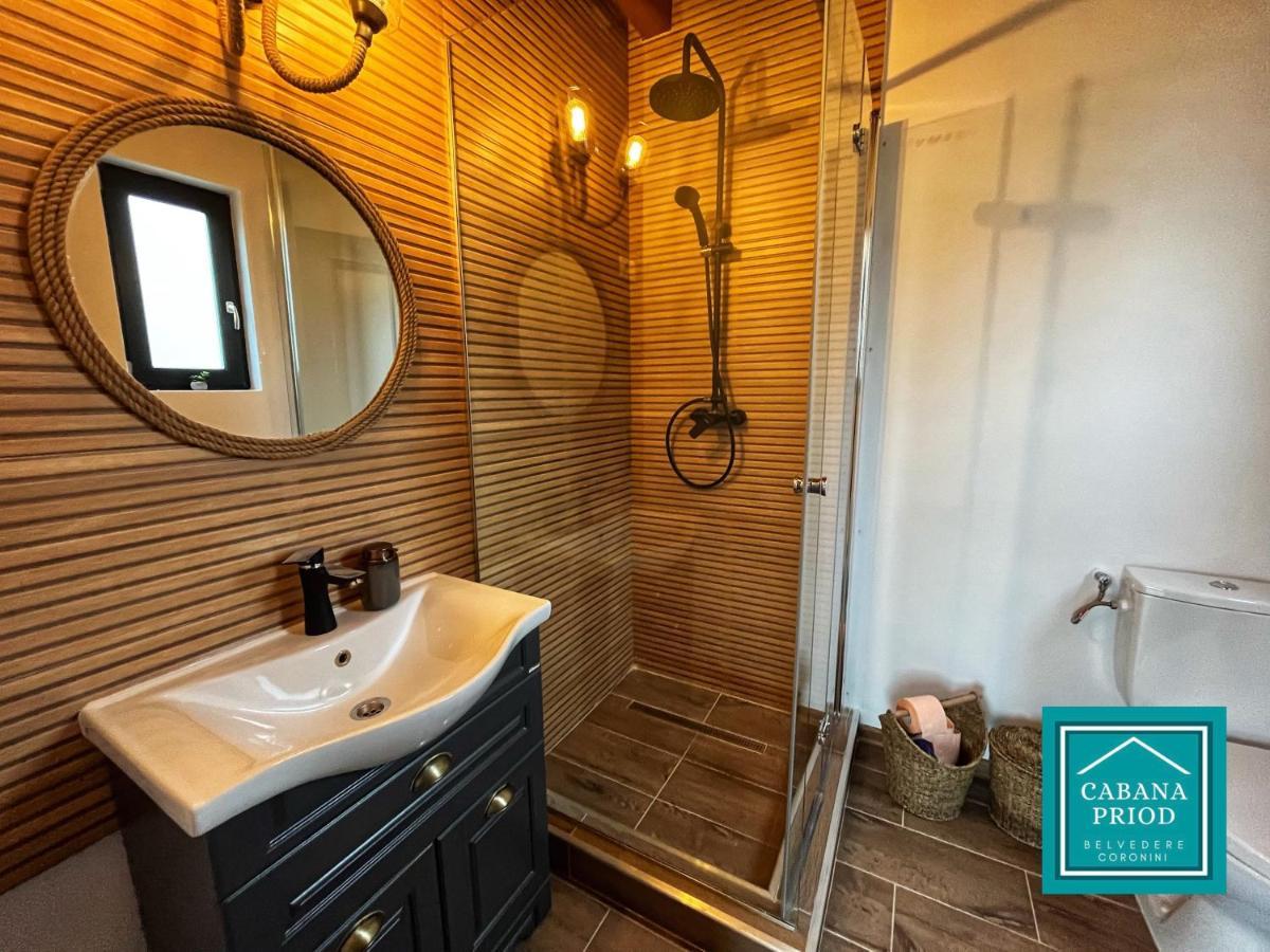 Cabana Priod Coronini Pescari 외부 사진