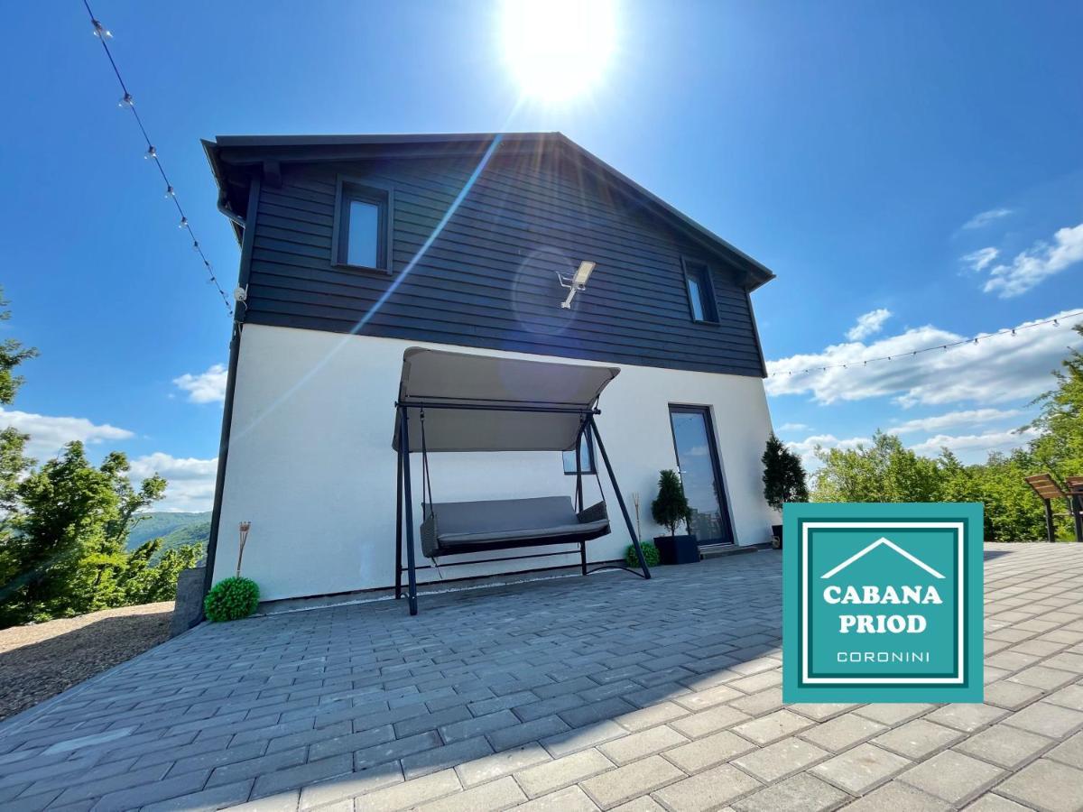 Cabana Priod Coronini Pescari 외부 사진