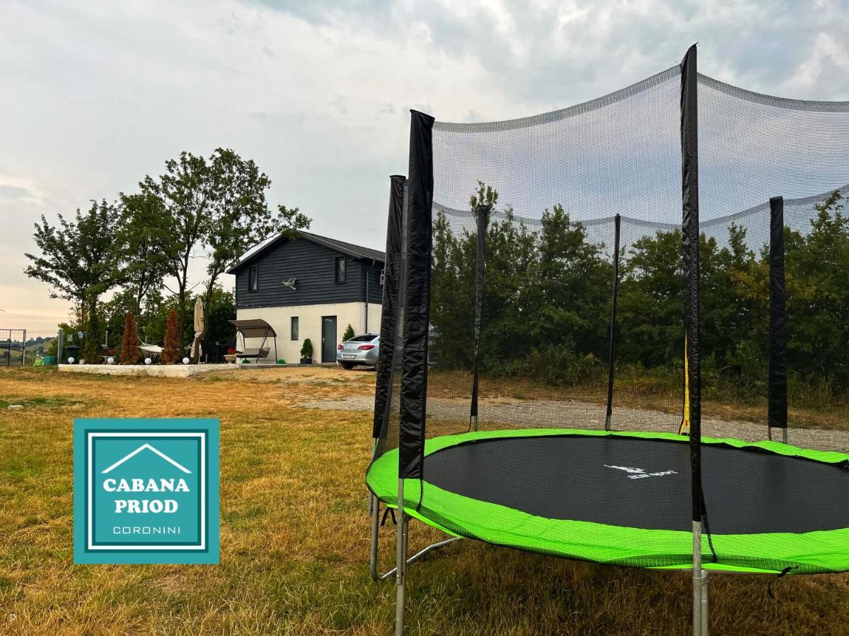 Cabana Priod Coronini Pescari 외부 사진