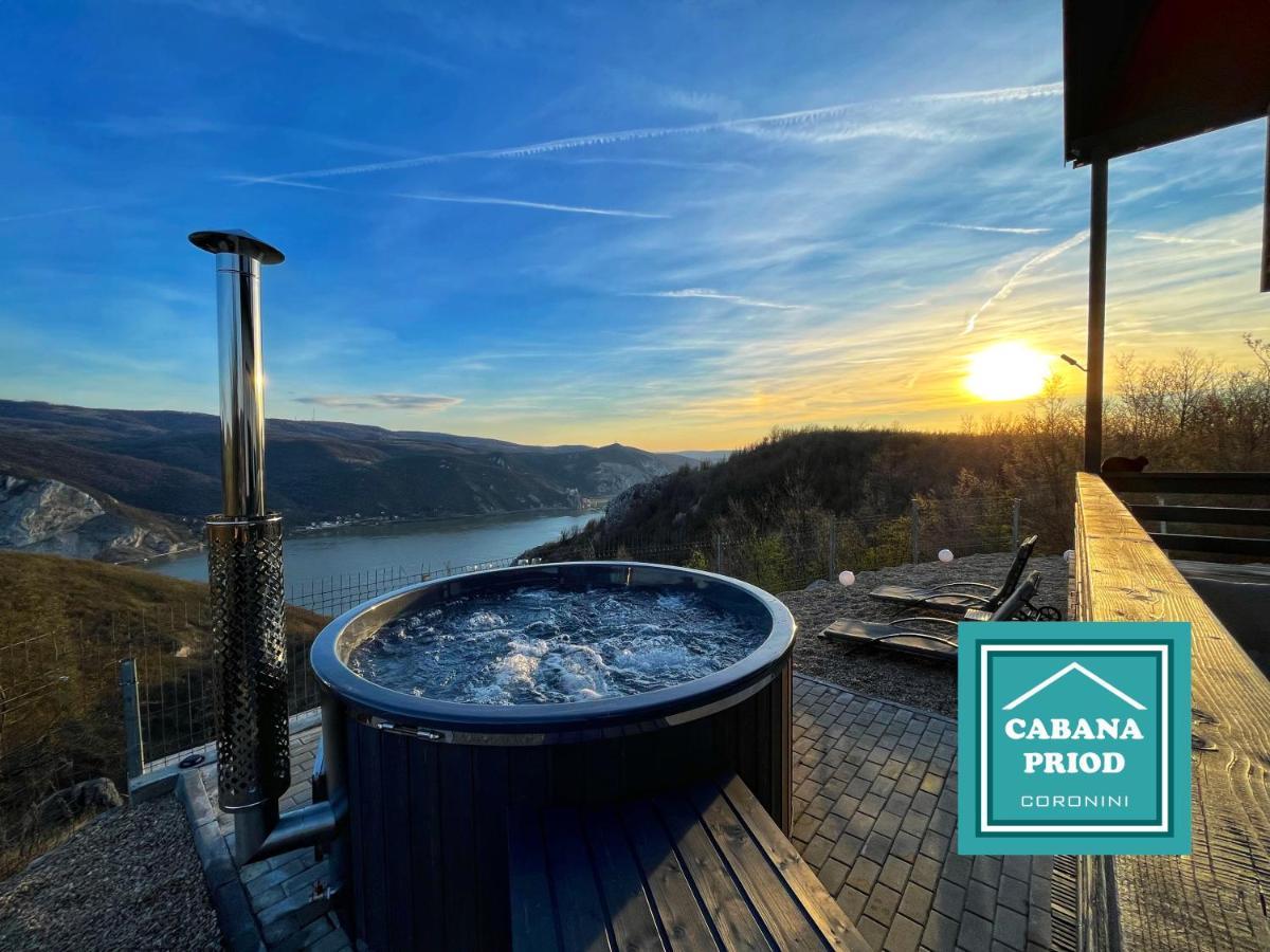 Cabana Priod Coronini Pescari 외부 사진